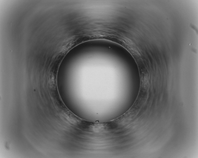 X0000091530418200708171225