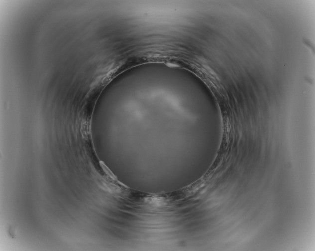 X0000091530419200708171225