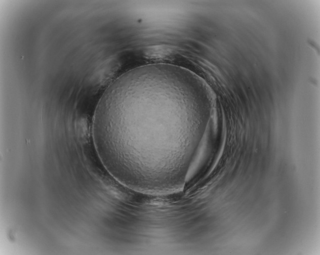 X0000091530420200708171225