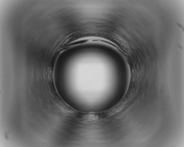 X0000091530421200708171225