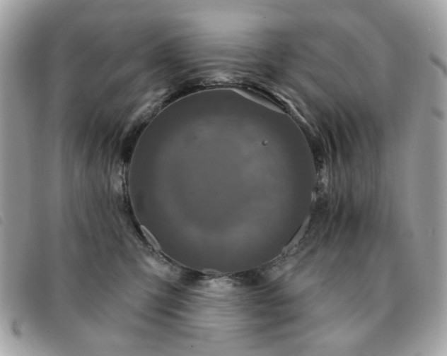 X0000091530423200708171225