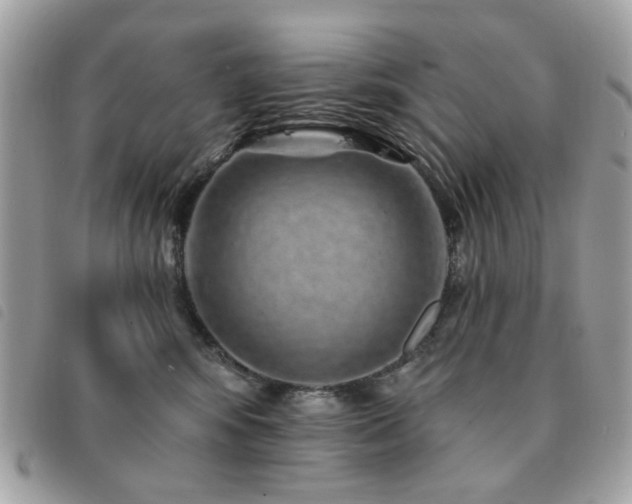 X0000091530424200708171225