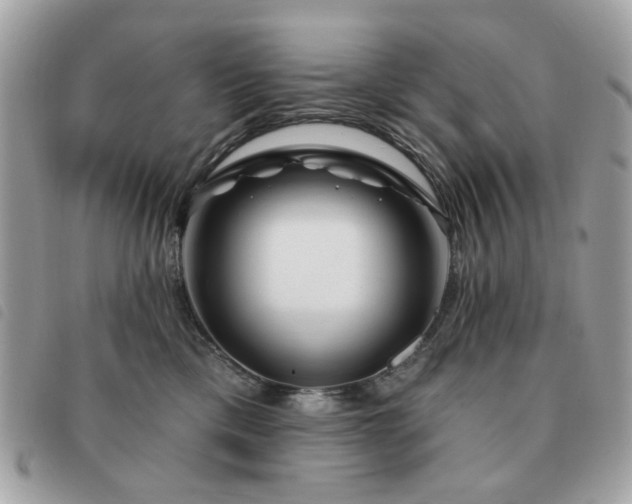 X0000091530425200708171225