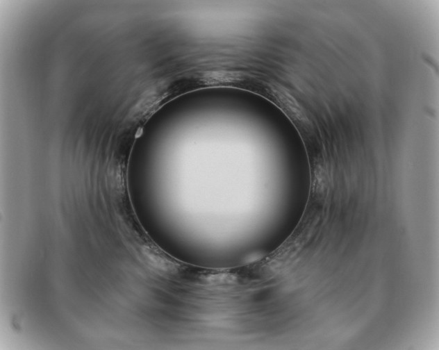 X0000091530426200708171225