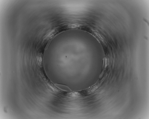 X0000091530427200708171225