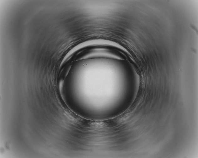 X0000091530428200708171225