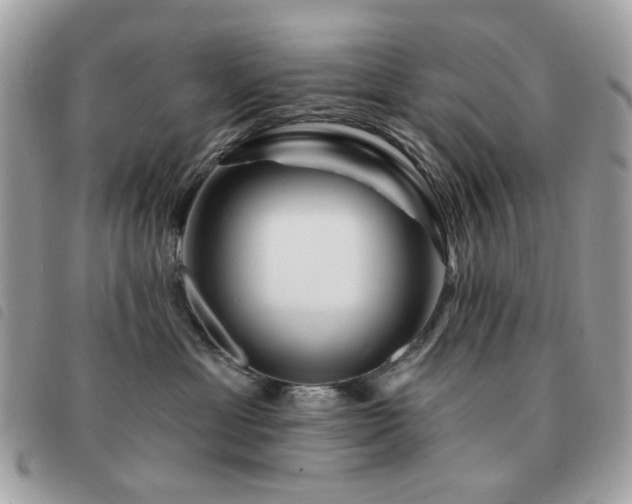 X0000091530429200708171225