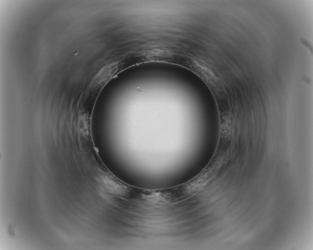 X0000091530430200708171225