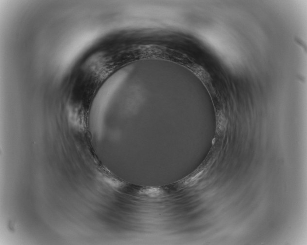 X0000091530431200708171225