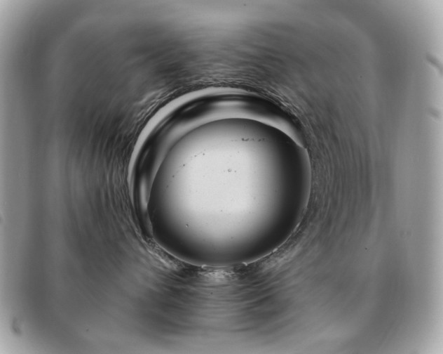 X0000091530432200708171225