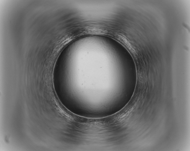 X0000091530433200708171224