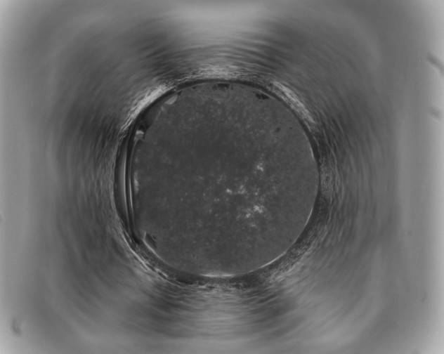 X0000091530434200708171224