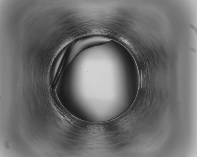X0000091530435200708171224