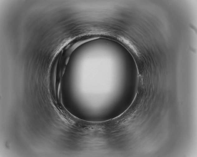 X0000091530436200708171224
