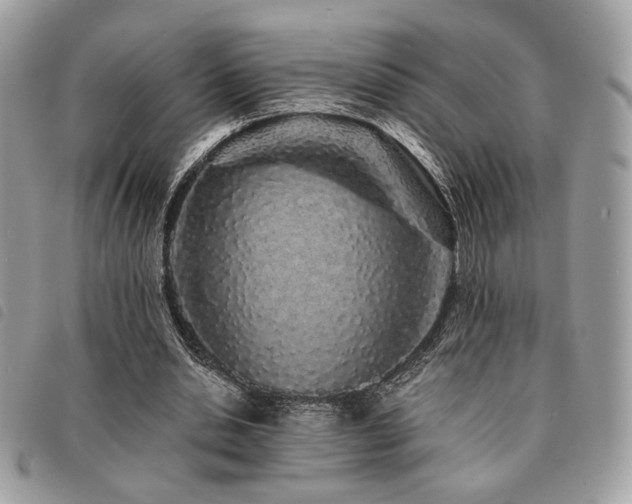 X0000091530438200708171224