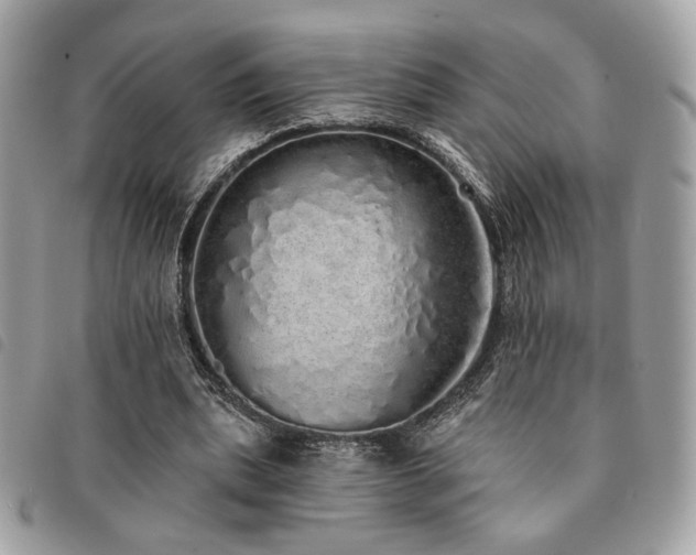X0000091530439200708171224