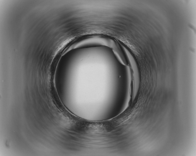 X0000091530440200708171224