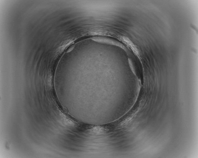 X0000091530441200708171224