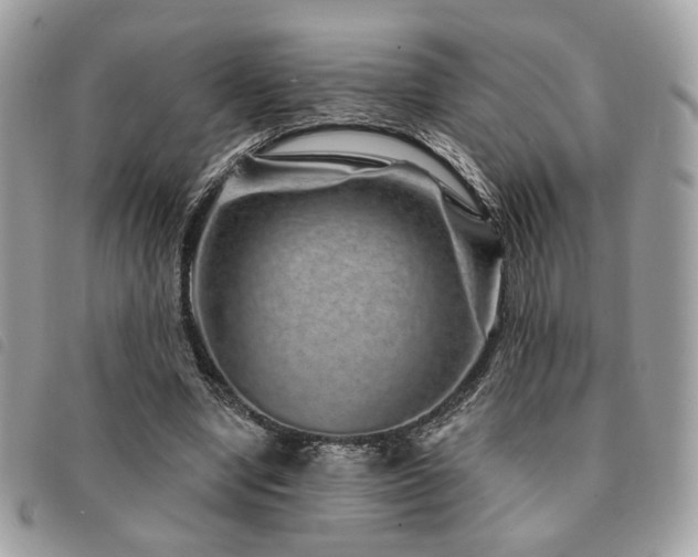 X0000091530442200708171224