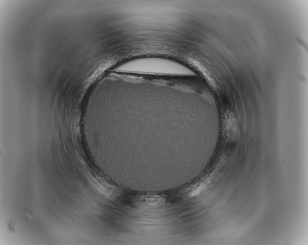 X0000091530443200708171224
