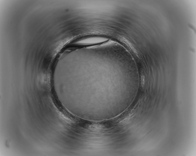 X0000091530444200708171224