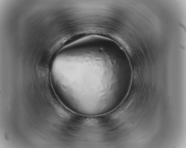X0000091530445200708171224