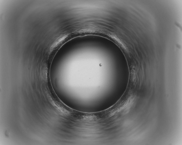 X0000091530446200708171224