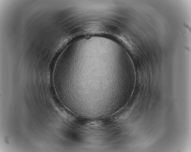 X0000091530447200708171224
