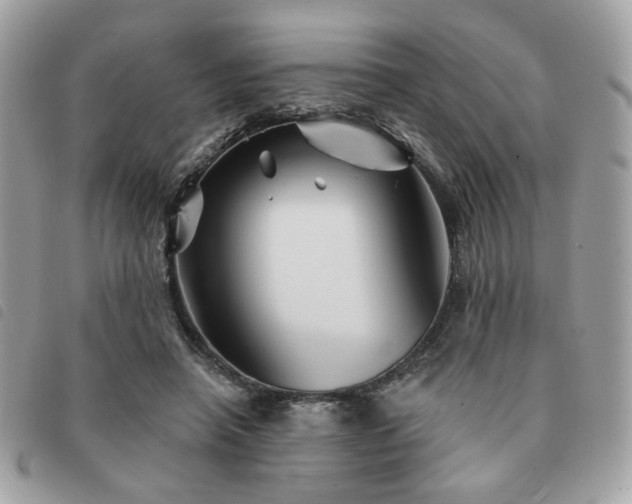 X0000091530450200708171224