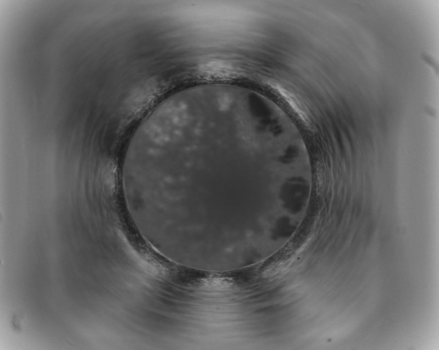 X0000091530451200708171224
