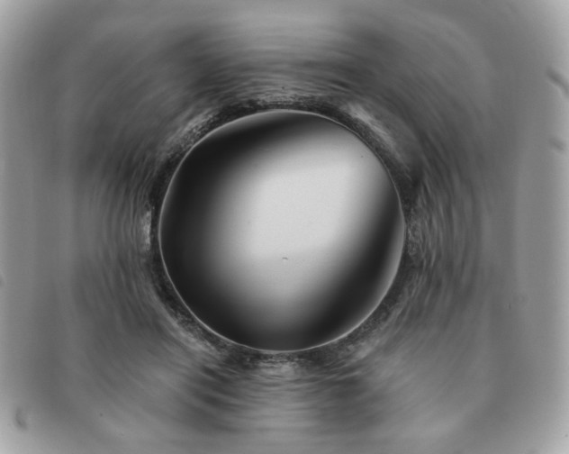 X0000091530454200708171224