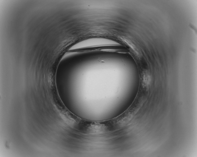 X0000091530455200708171224