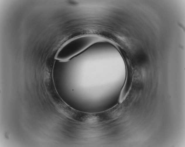 X0000091530456200708171224