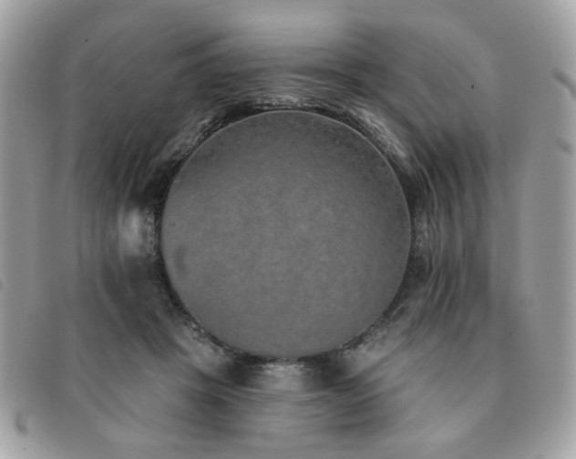 X0000091530457200708171224