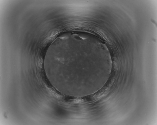 X0000091530458200708171224