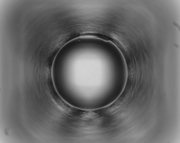 X0000091530459200708171224