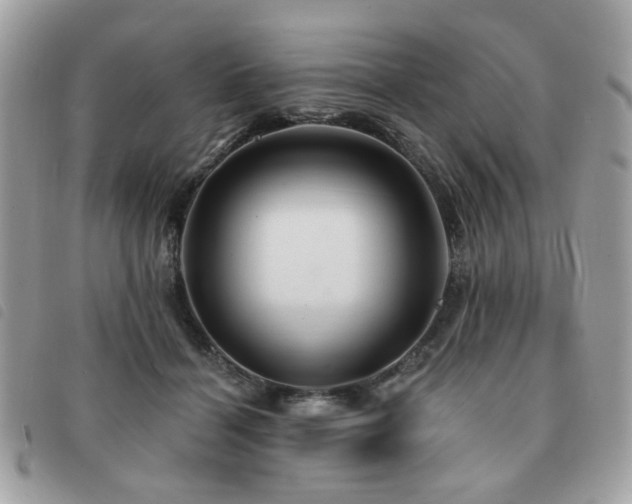 X0000091530460200708171224