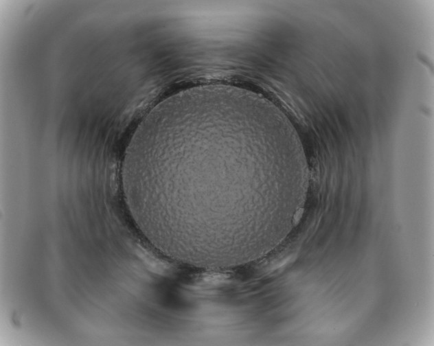 X0000091530462200708171224