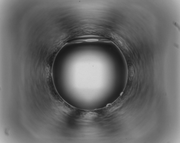 X0000091530463200708171224
