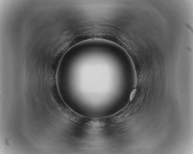 X0000091530464200708171224