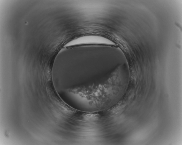 X0000091530465200708171224