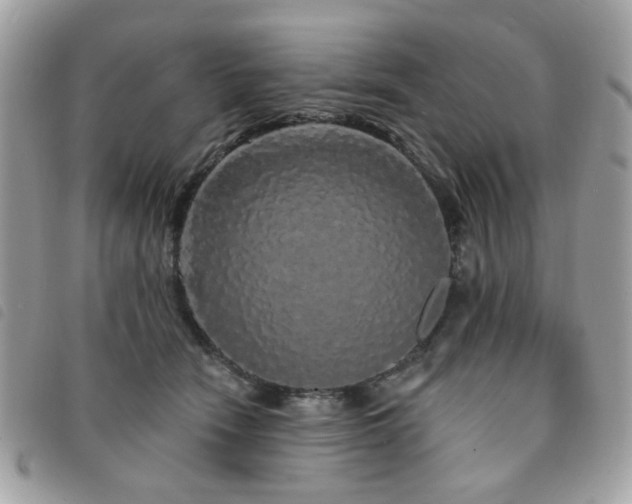 X0000091530466200708171224