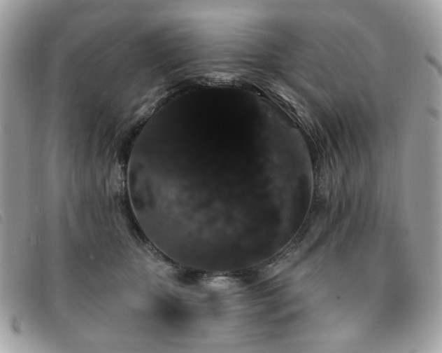 X0000091530467200708171224