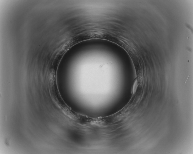 X0000091530468200708171224