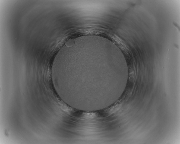 X0000091530469200708171224