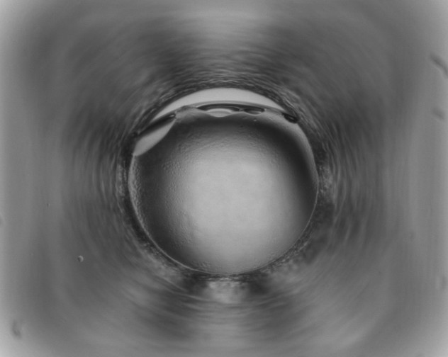 X0000091530470200708171224