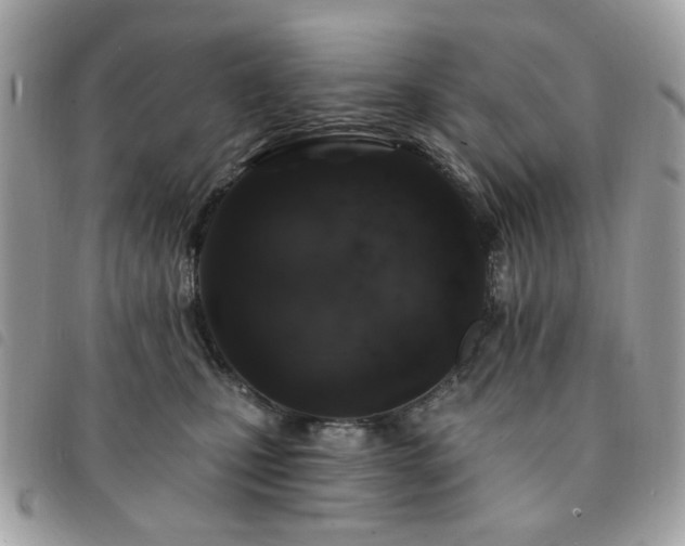 X0000091530471200708171224