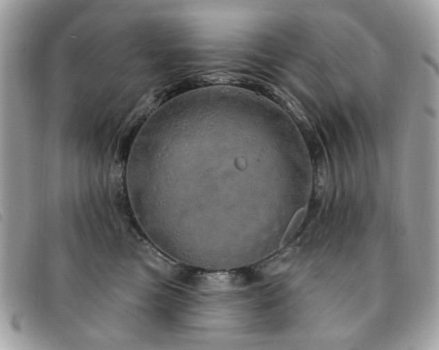 X0000091530473200708171225