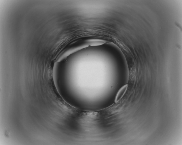 X0000091530474200708171225