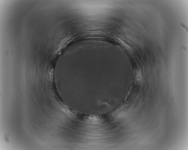 X0000091530475200708171225
